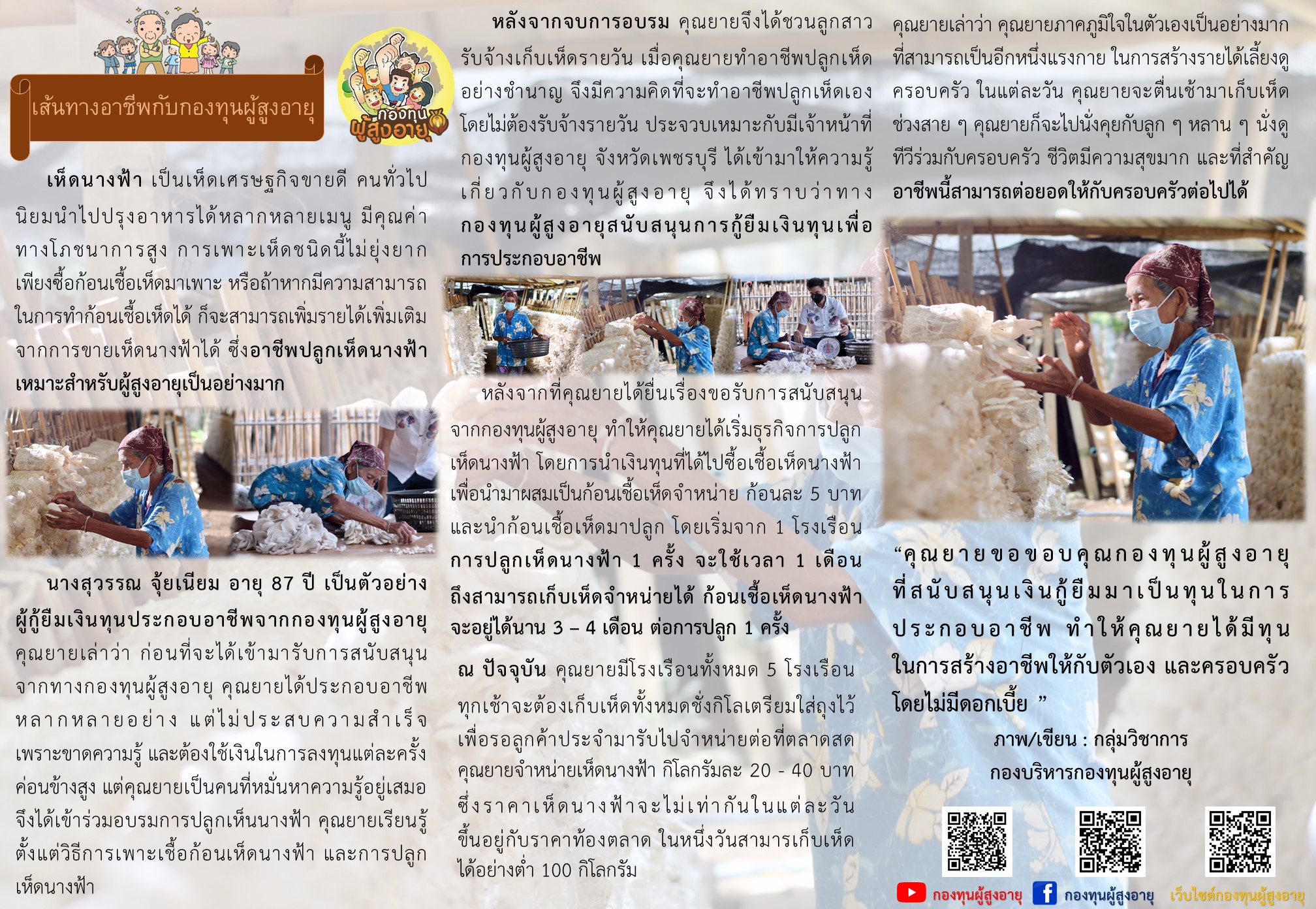 เส้นทางอาชีพกับกองทุนผู้สูงอายุ ประกอบอาชีพปลูกเห็ดนางฟ้า จังหวัดเพชรบุรี