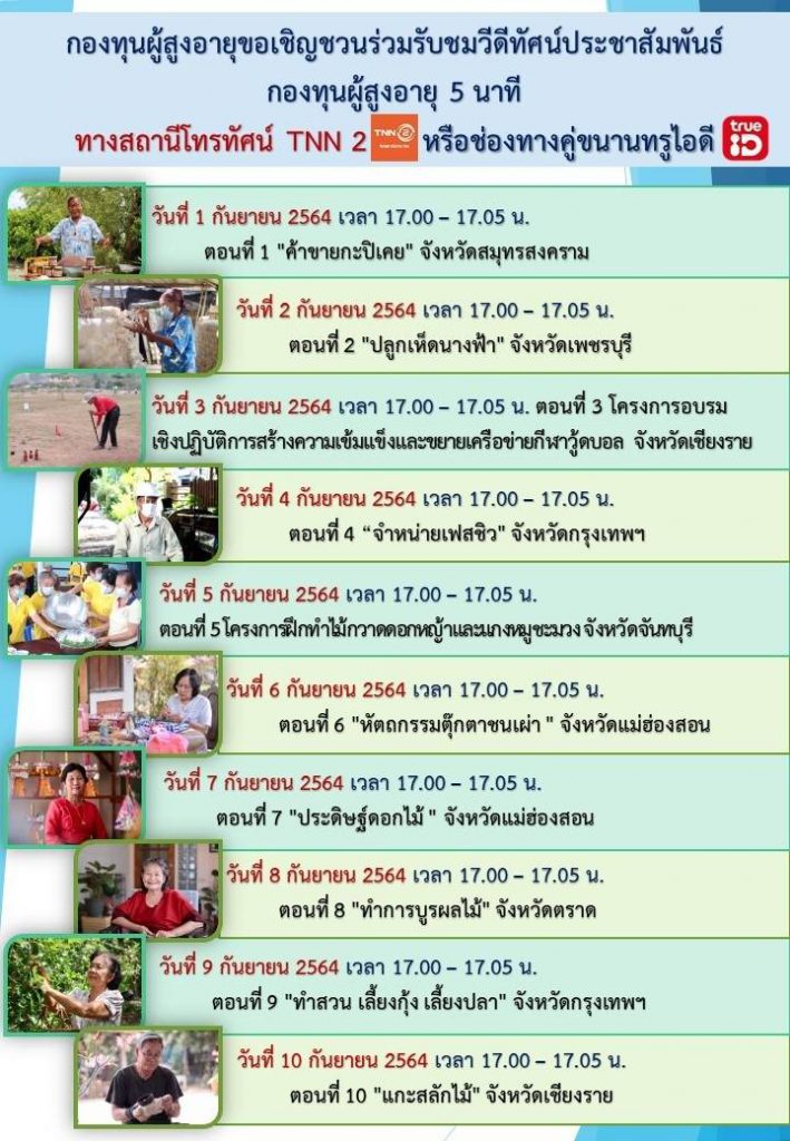 เส้นทางอาชีพ