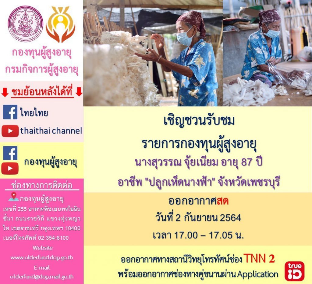 เส้นทางอาชีพ : ปลูกเห็ดนางฟ้า