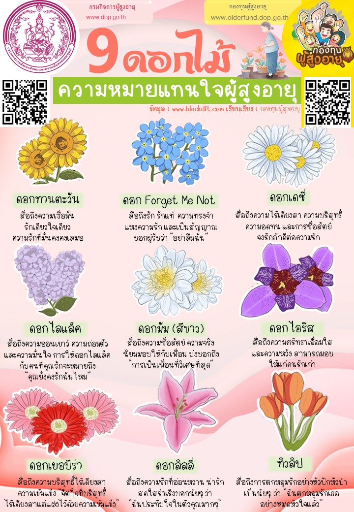 9 ดอกไม้แทนใจผู้สูงอายุ🌻🌺🌼🌷🌹 By กองทุนผู้สูงอายุ