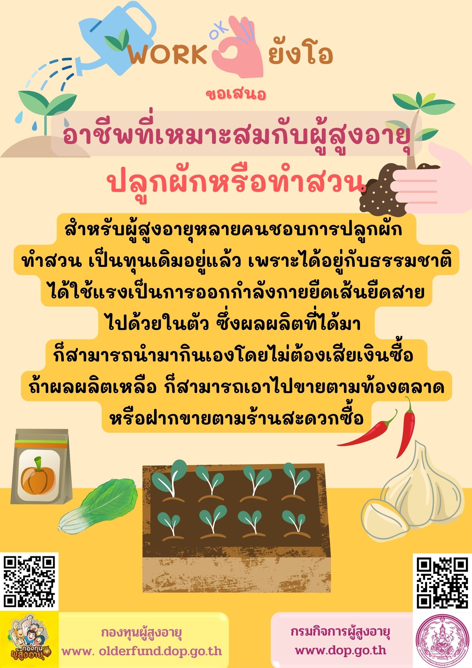 WORKยังโอขอเสนออาชีพที่เหมาะสมกับผู้สูงอายุ